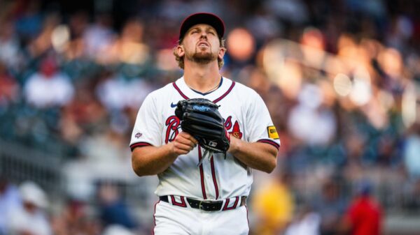 洋溢的绿茵 洋溢的绿茵