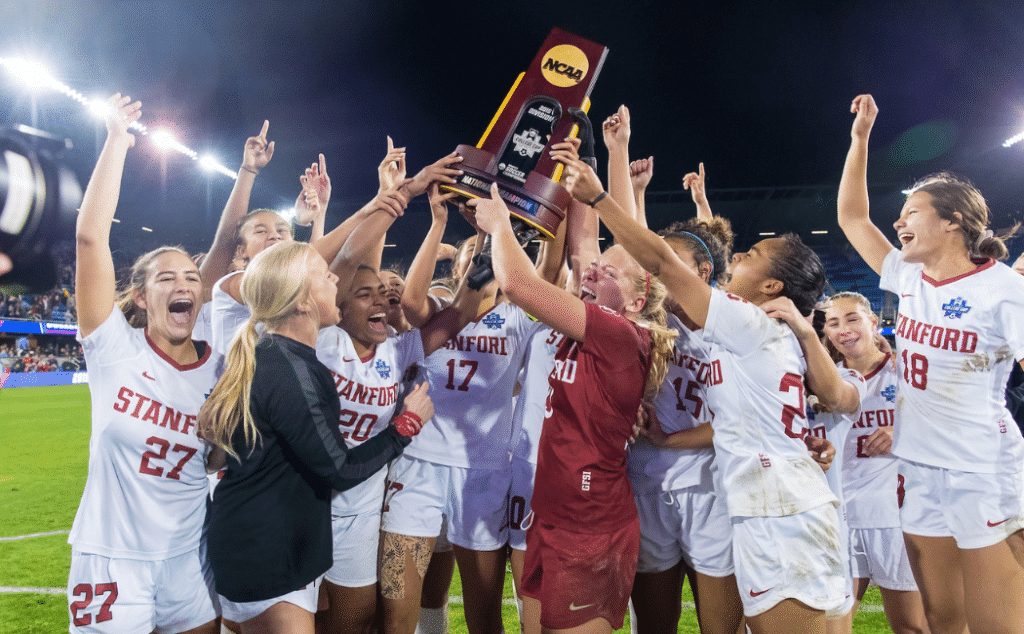 城的表现也 城的表现也