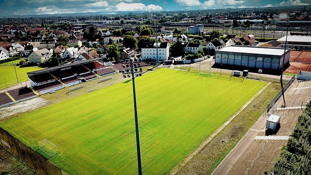 他灵活的脚 他灵活的脚