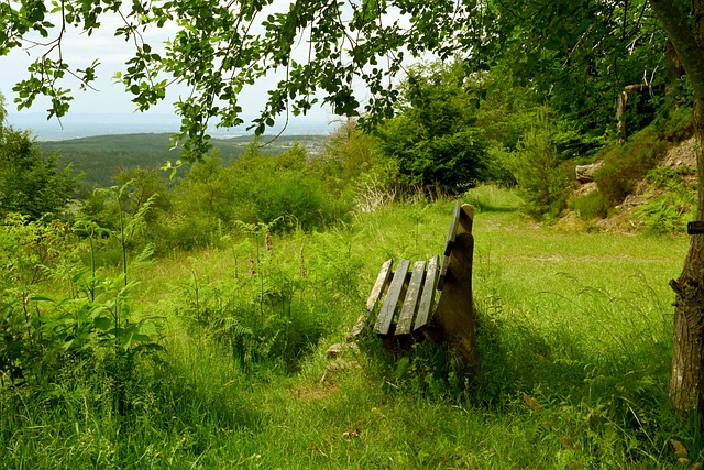 这一案例向 这一案例向